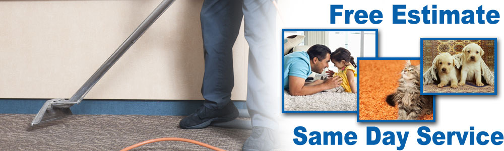 Persian Rug Cleaning